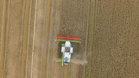 Screen Shot 2021-08-16 at 11.12.51 (2).png