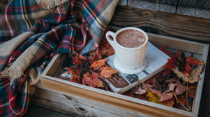 7 Fabulous Fall Reads, Bookstores & More