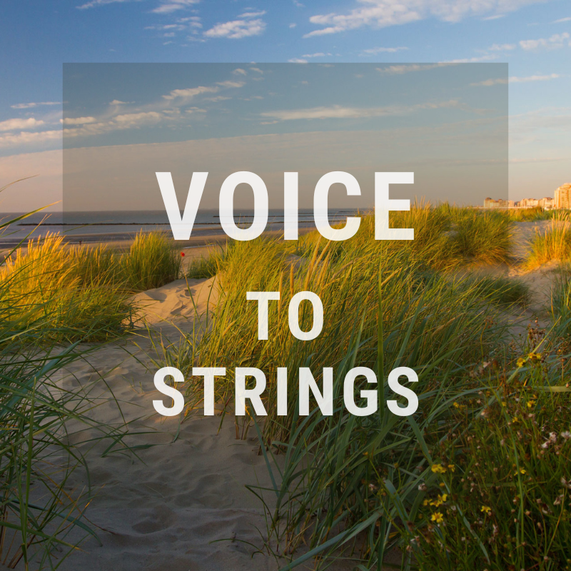 Queen Elisabeth 150! Closing night: Voice to strings