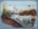 "Life in the Pond"