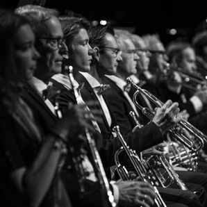 elzingaphoto, elzingaphoto.com, www.elzingaphoto.com, fries