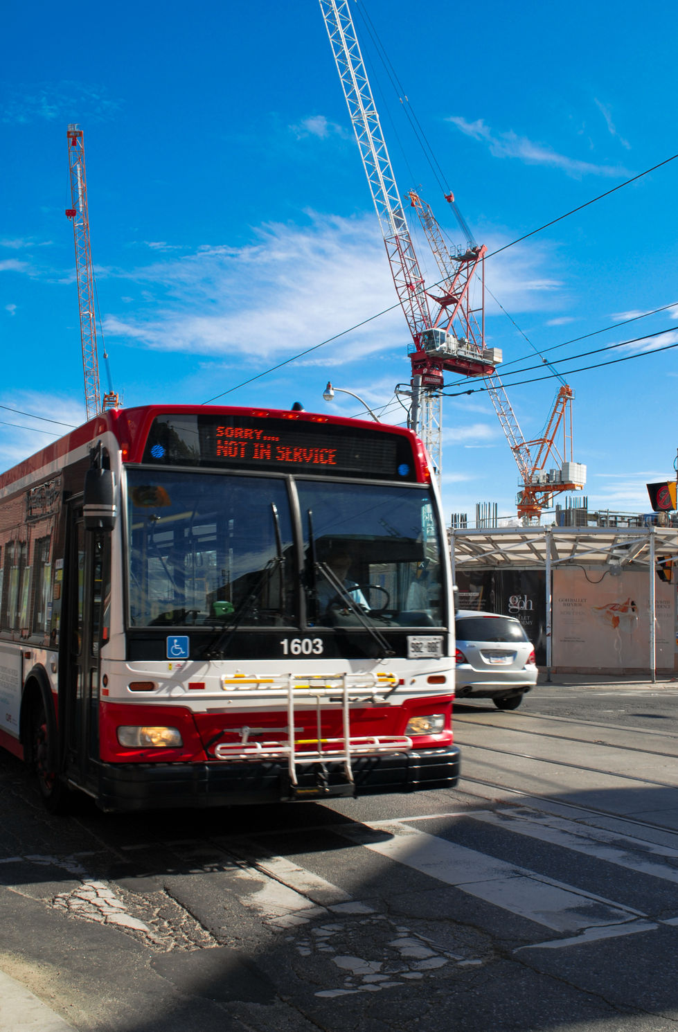 TTC Bus