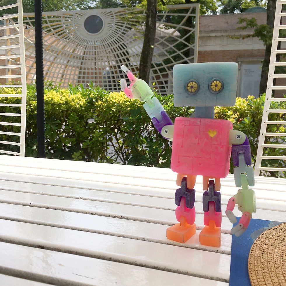 BoiBot Goes to Venice