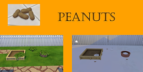 upload1.png