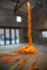 Giant Everlasting Plait