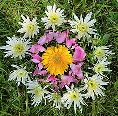 flower homage chrysanth.jpg