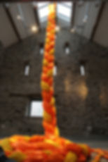 Giant Everlasting Plait 2