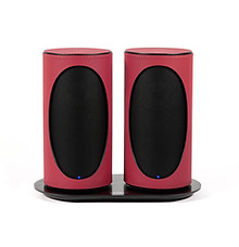 red_Duo_charging_dockjpg