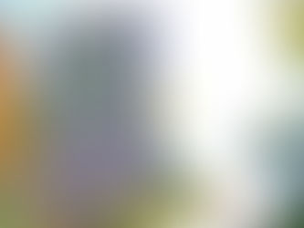 ¿Qué pasa con la ESI en cuarentena?