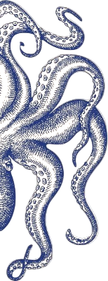 917817c084759c6df3cd7885d9b47645_edited.png