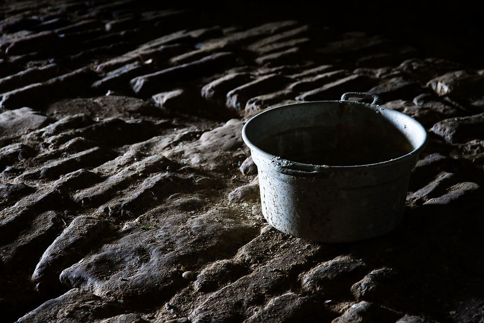 Claudio Paolinelli - Abbandono