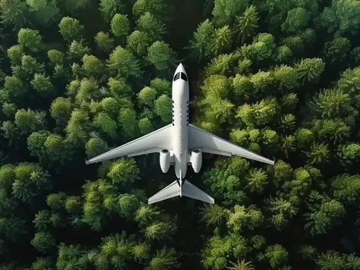 Private jet sustainability carbon offset