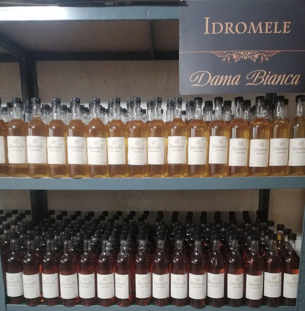 Miniatura: Idromele di castagno in PET 75cl