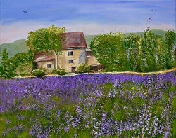 Lavender Field in Provence
