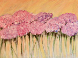 Pink Hydrangeas