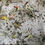 Miniature : Photographie originale sur toile
