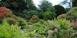 The rock garden at Sizergh_edited.jpg