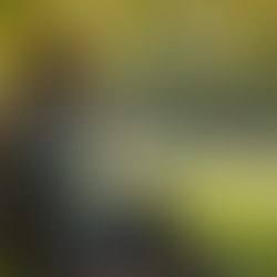 Coping with Loneliness: Techniques for Connection and Support