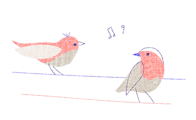 צרו קשר שקוף מחוספס.png