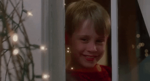 Home alone 3.gif