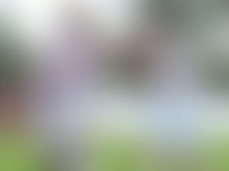 Operário aplica goleada histórica no Real Ariquemes e garante vaga no mata-mata da Série D