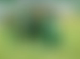 Cuiabá vence o Juventude fora de casa e se aproxima do G-6 do Brasileirão