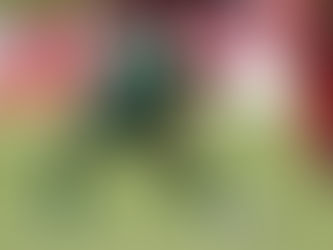 Fora de combate desde a final do Estadual, Camilo deve iniciar transição física na próxima semana