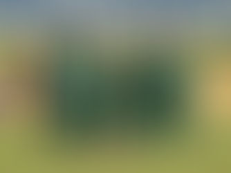 Chance do Cuiabá se classificar para a Sul-Americana é de 50%; rebaixamento fica distante