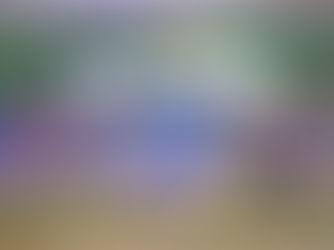 Jogos da Juventude: Mato grosso tem destaque no atletismo e conquista ouro no futsal feminino