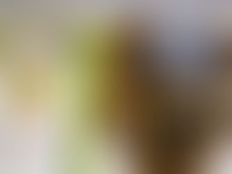 Clubes mato-grossenses conhecem datas e horários para estreia na Copa do Brasil; confira