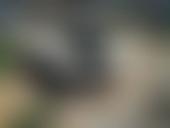 Cuiabá vai implantar sistema de reconhecimento facial para acesso na Arena a partir de 2024