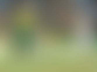 Após gol perdido contra o Cruzeiro, Deyverson se pronuncia nas redes sociais