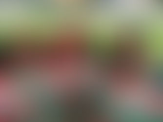 Com ingressos a partir de R$ 10, Operário-VG recebe o Costa Rica em jogo direto pelo G4