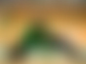 Convocada para disputar a quinta Olimpíadas, atleta de goalball representa Mato Grosso em Tóquio