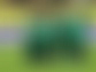 Em meio a maratona de jogos, Cuiabá tem elenco com maior média de idade da Série A