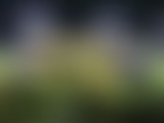 Cuiabá bate Operário VG nos pênaltis e é campeão do Mato-grossense Sub-15