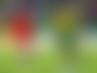 Rikelme integra top 10 de revelações do Brasileirão