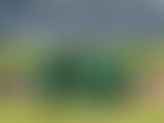 Cuiabá recebe o Bahia com novidade entre os relacionados; veja a provável escalação