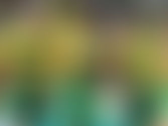 Vitória sobre o Santos foi a maior do Cuiabá na história da Série A do Brasileirão