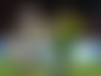 Cuiabá vende Raniele ao Corinthians por R$ 13,5 milhões