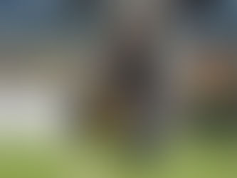 “Nas situações de interpretação, a decisão tem ocorrido contra o Cuiabá”, diz Luiz Fernando Iubel