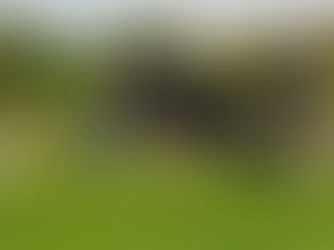 Após primeira vitória em casa no Brasileirão 2022, Cuiabá recebe o Bragantino neste sábado