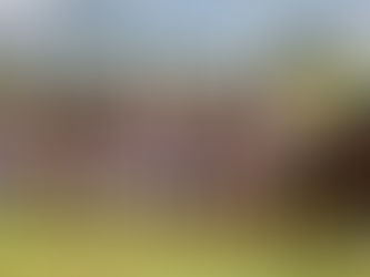 Mixto estreia neste sábado na segunda divisão do Mato-grossense; veja provável escalação