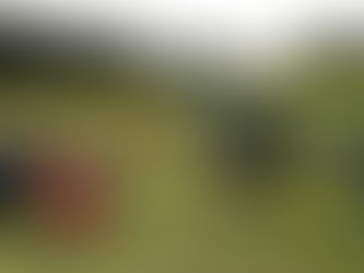 Cuiabá recebe o Fluminense em jogo decisivo pela semifinal do Brasileiro de Aspirantes