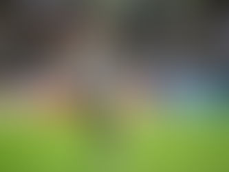 Cuiabá disputa contratação de Guilherme Castilho