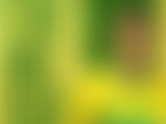 Cuiabá oficializa contratação de Guilherme Madruga com contrato de cinco anos