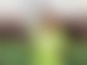 Técnico Luciano Dias valoriza classificação do Operário VG para o mata-mata da Série D