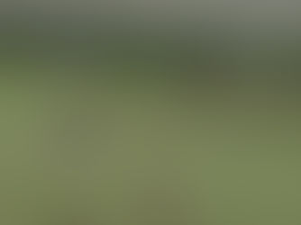 Araguaia goleia e fica perto do acesso à 1ª divisão do Mato-grossense