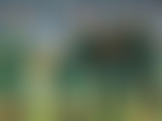 Cuiabá busca o empate contra o Fluminense e fica a dois pontos de distância do G-6