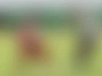 Com temperatura elevada, Mixto solicita mudança de horário do jogo diante do Operário